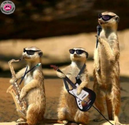 le groupe