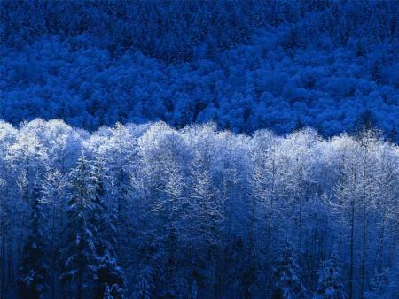 un hiver a nantes