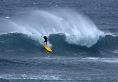 le surfeur
